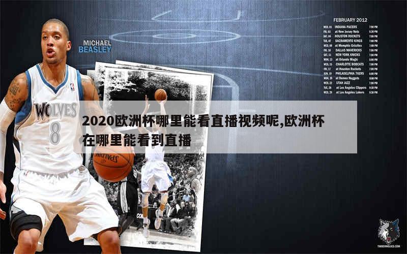 2020欧洲杯哪里能看直播视频呢,欧洲杯在哪里能看到直播