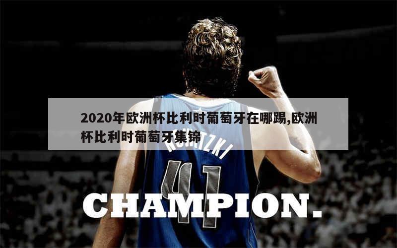 2020年欧洲杯比利时葡萄牙在哪踢,欧洲杯比利时葡萄牙集锦