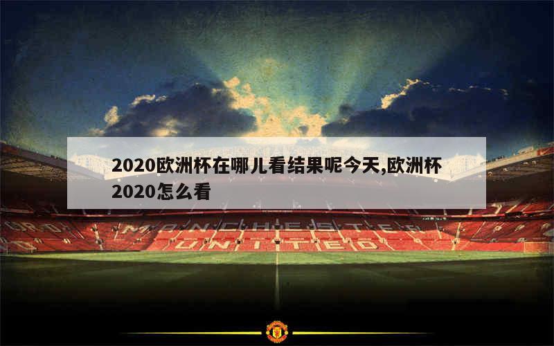 2020欧洲杯在哪儿看结果呢今天,欧洲杯2020怎么看