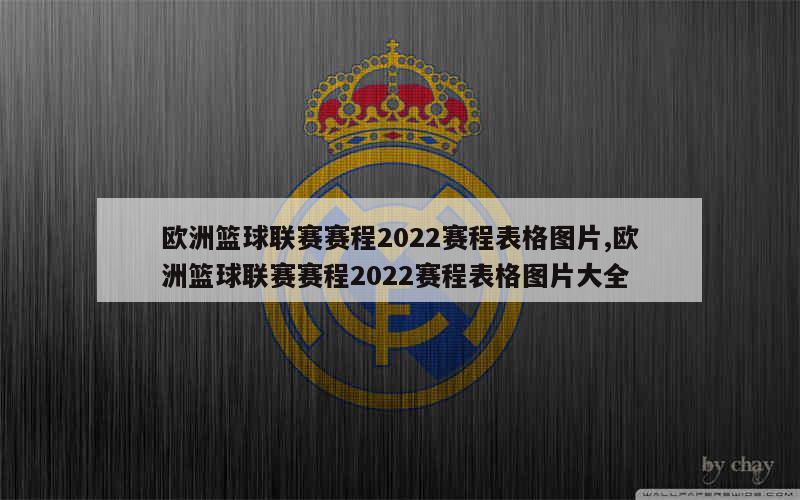 欧洲篮球联赛赛程2022赛程表格图片,欧洲篮球联赛赛程2022赛程表格图片大全