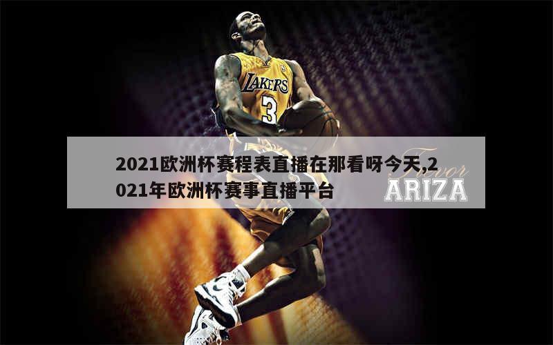 2021欧洲杯赛程表直播在那看呀今天,2021年欧洲杯赛事直播平台