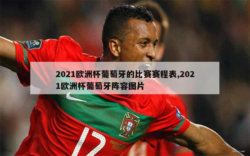 2021欧洲杯葡萄牙的比赛赛程表,2021欧洲杯葡萄牙阵容图片