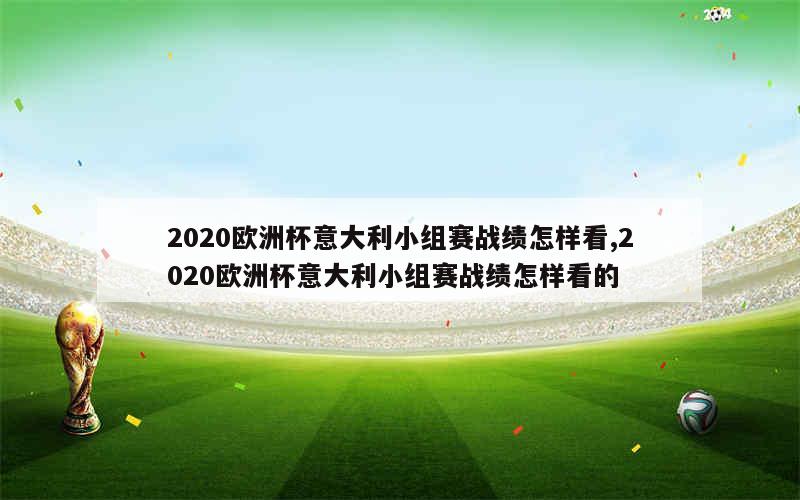 2020欧洲杯意大利小组赛战绩怎样看,2020欧洲杯意大利小组赛战绩怎样看的