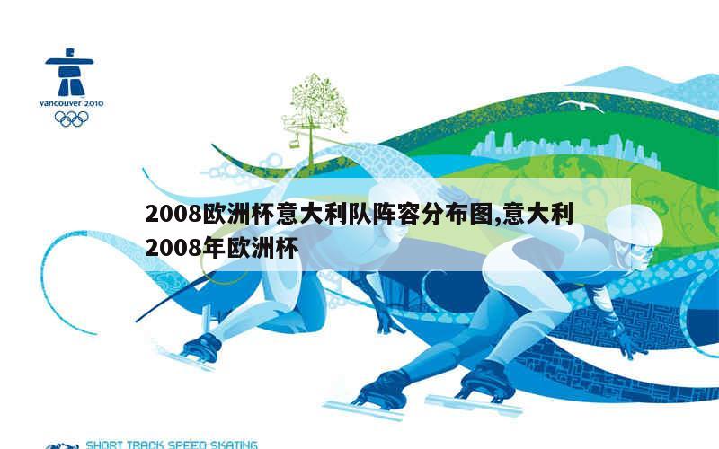 2008欧洲杯意大利队阵容分布图,意大利2008年欧洲杯